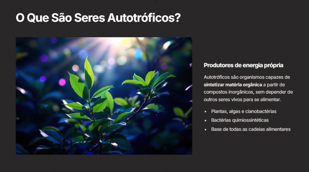 Exemplo de apresentação criada com a Slidflow